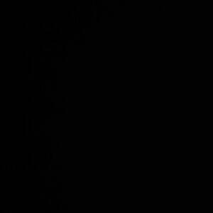 Profile picture of S Khan
